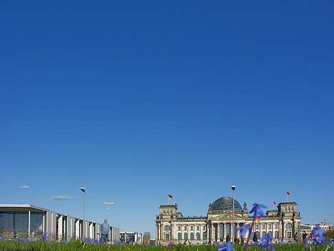 Foto Blumenwiese - Berlin