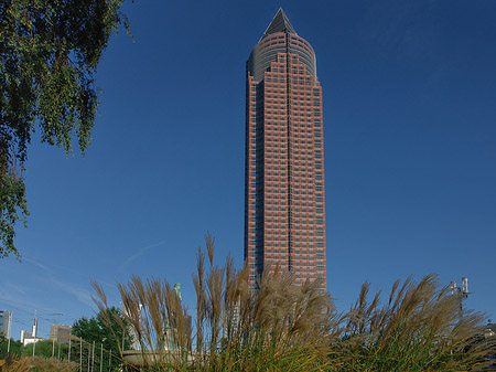 Foto Messeturm mit Wiese